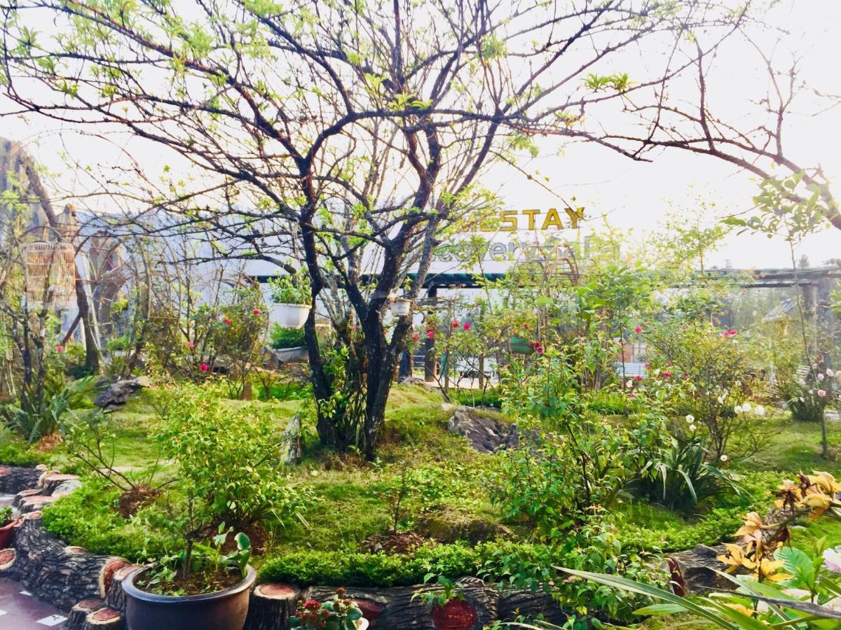 Homestay Discovery Sapa Esterno foto